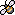 biene