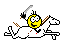 galopp